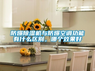 企業(yè)新聞防爆除濕機(jī)與防爆空調(diào)功能有什么區(qū)別，哪個(gè)效果好
