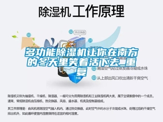 行業新聞多功能除濕機讓你在南方的冬天里笑著活下去_重復