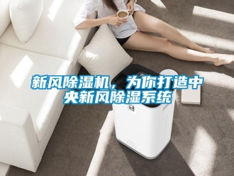 知識百科新風除濕機，為你打造中央新風除濕系統