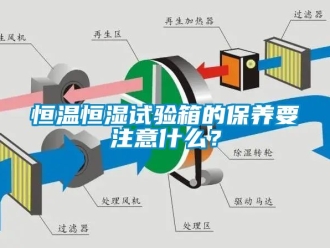 知識百科恒溫恒濕試驗(yàn)箱的保養(yǎng)要注意什么？