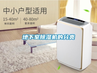 行業(yè)新聞地下室除濕機(jī)的分類(lèi)