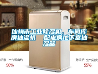 常見問題仙桃市工業除濕機，車間庫房抽濕機  配電房地下室抽濕器