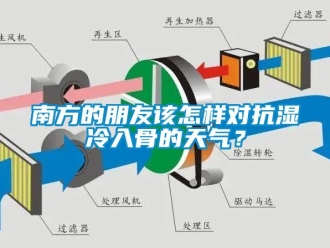 常見問題南方的朋友該怎樣對抗濕冷入骨的天氣？