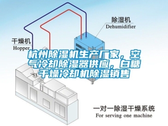 企業新聞杭州除濕機生產廠家，空氣冷卻除濕器供應，白糖干燥冷卻機除濕銷售