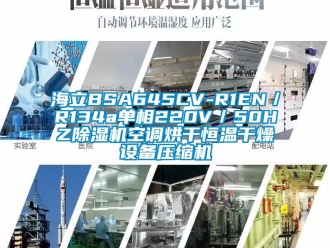 知識百科海立BSA645CV-R1EN／R134a單相220V／50HZ除濕機空調烘干恒溫干燥設備壓縮機