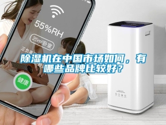 企業新聞除濕機在中國市場如何，有哪些品牌比較好？