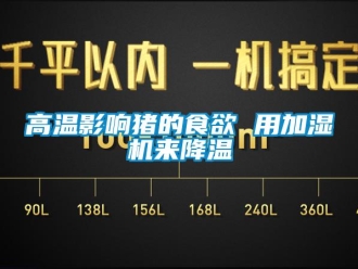 企業(yè)新聞高溫影響豬的食欲 用加濕機(jī)來降溫