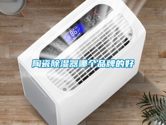 行業(yè)新聞陶瓷除濕器哪個品牌的好