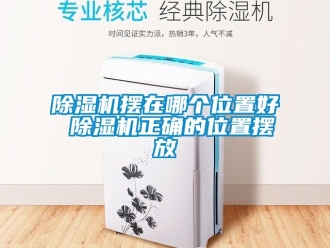 企業新聞除濕機擺在哪個位置好 除濕機正確的位置擺放