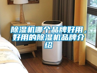 企業新聞除濕機哪個品牌好用，好用的除濕機品牌介紹