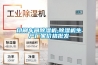 印刷車間除濕機,除濕機生產廠家價格批發