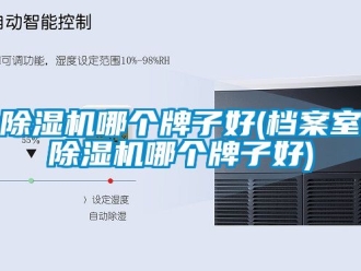 行業新聞除濕機哪個牌子好(檔案室除濕機哪個牌子好)
