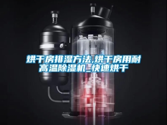 行業(yè)新聞烘干房排濕方法,烘干房用耐高溫除濕機(jī)_快速烘干