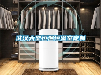知識百科武漢大型恒溫恒濕室定制