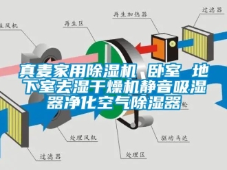 常見問題真麥家用除濕機 臥室 地下室去濕干燥機靜音吸濕器凈化空氣除濕器