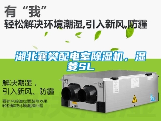 行業新聞湖北襄樊配電室除濕機，濕菱SL