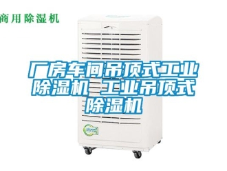 常見問題廠房車間吊頂式工業(yè)除濕機 工業(yè)吊頂式除濕機