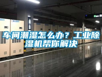 常見問題車間潮濕怎么辦？工業(yè)除濕機(jī)幫你解決