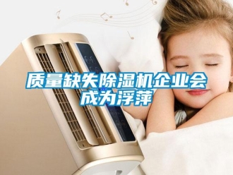 知識百科質量缺失除濕機企業會成為浮萍