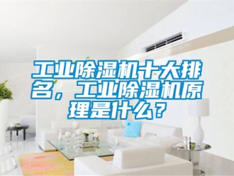 常見問題工業除濕機十大排名，工業除濕機原理是什么？