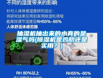 企業新聞抽濕機抽出來的水真的是濕氣嗎(除濕機是雞肋還是實用？)