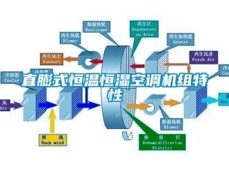 知識百科直膨式恒溫恒濕空調機組特性
