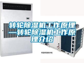 常見(jiàn)問(wèn)題轉(zhuǎn)輪除濕機(jī)工作原理—轉(zhuǎn)輪除濕機(jī)工作原理介紹