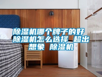 行業(yè)新聞除濕機哪個牌子的好 除濕機怎么選擇 超出想象 除濕機