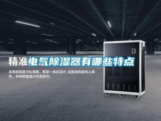 企業新聞電氣除濕器有哪些特點