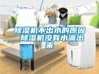 企業新聞除濕機不出水的原因 除濕機沒有水滴出來