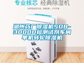 常見問題湖州藥廠除濕機SDB-3000D檢測試劑車間單機轉輪除濕機
