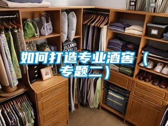 常見問題如何打造專業酒窖（專題二）