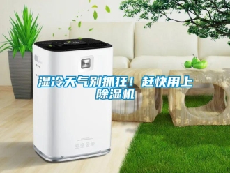 知識百科濕冷天氣別抓狂！趕快用上除濕機
