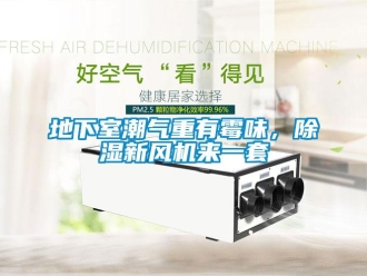 企業(yè)新聞地下室潮氣重有霉味，除濕新風(fēng)機(jī)來一套