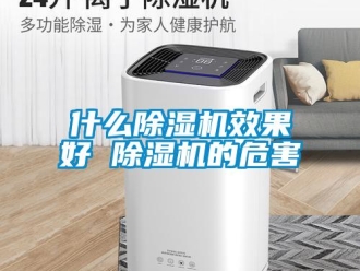 行業(yè)新聞什么除濕機(jī)效果好 除濕機(jī)的危害