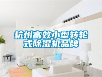 常見問題杭州高效小型轉(zhuǎn)輪式除濕機品牌