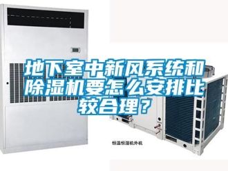 常見問題地下室中新風系統和除濕機要怎么安排比較合理？