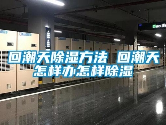 企業(yè)新聞回潮天除濕方法 回潮天怎樣辦怎樣除濕