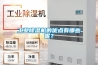 工業除濕機的優點有哪些呢？