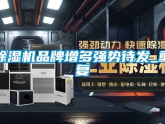 企業新聞除濕機品牌增多強勢待發_重復