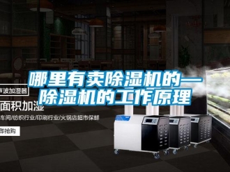 行業新聞哪里有賣除濕機的—除濕機的工作原理