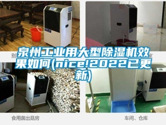 常見問題泉州工業用大型除濕機效果如何(nice!2022已更新)