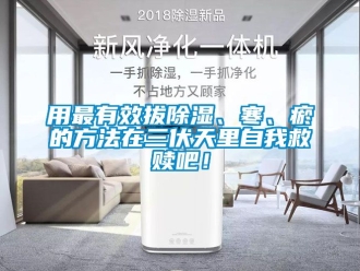 企業新聞用最有效拔除濕、寒、瘀的方法在三伏天里自我救贖吧！