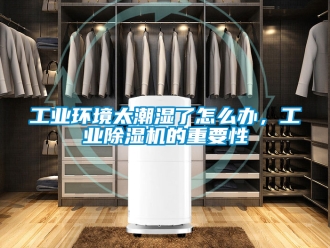 常見問題工業(yè)環(huán)境太潮濕了怎么辦，工業(yè)除濕機(jī)的重要性