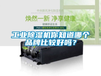 常見問題工業(yè)除濕機(jī)你知道哪個(gè)品牌比較好嗎？