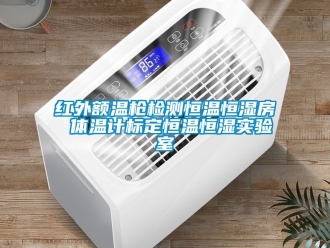 知識百科紅外額溫槍檢測恒溫恒濕房 體溫計標定恒溫恒濕實驗室