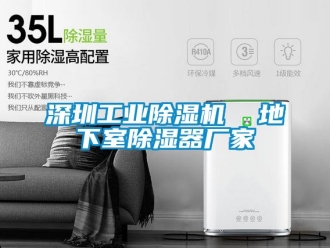 企業(yè)新聞深圳工業(yè)除濕機(jī)  地下室除濕器廠家