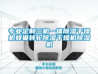 常見問題專業定制三機一體除濕干燥機蜂巢轉輪除濕干燥機除濕機
