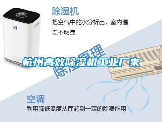 企業新聞杭州高效除濕機工業廠家