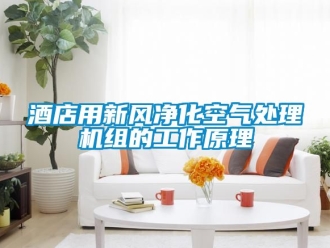 企業(yè)新聞酒店用新風(fēng)凈化空氣處理機(jī)組的工作原理